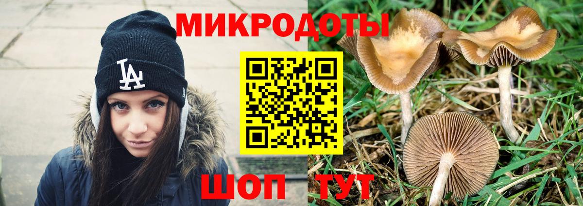 Галлюциногенные грибы мухоморы Лесной