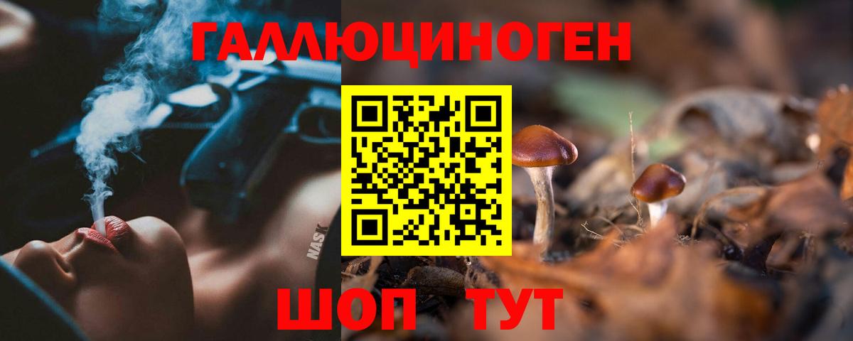 Галлюциногенные грибы мицелий  Вход с VPN  Лесной  Галлюциногенные грибы GOLDEN TEACHER 